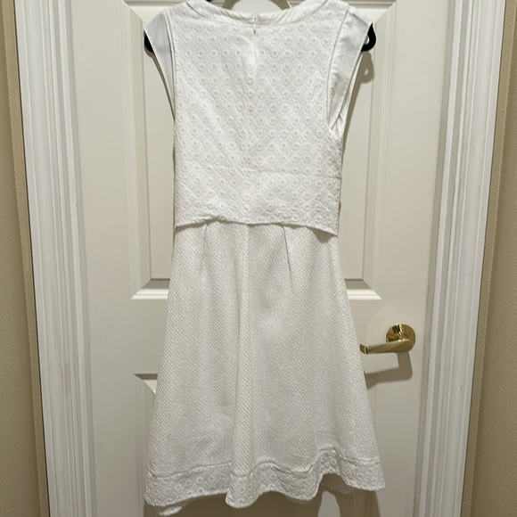 CAbi Women’s Size 8 Dress Lizzie White Eyelet Cotton Midi Detailed collar - Picture 9 of 14